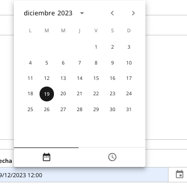 Date and time selector